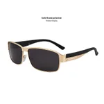 Gold Frame Polarized