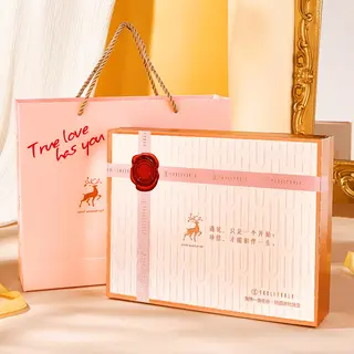 Makeup Novice Cosmetics For Students Set - Light Face Beauty Box Handbag