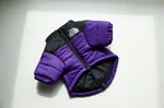 Electro Purple