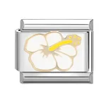 White Flower