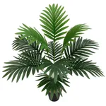 12 Head Areca Palm