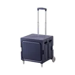 Lightweight 2Rounds Purple