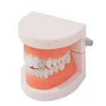 Silver Xingx Single Tooth