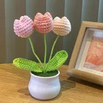 3 Yellow Tulip Potted Plants