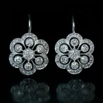 Earrings D