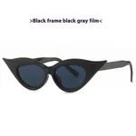 Black Frame Black Gray Lens