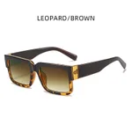 Leopard Print Frame Dried