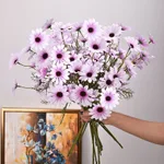 Light Purple