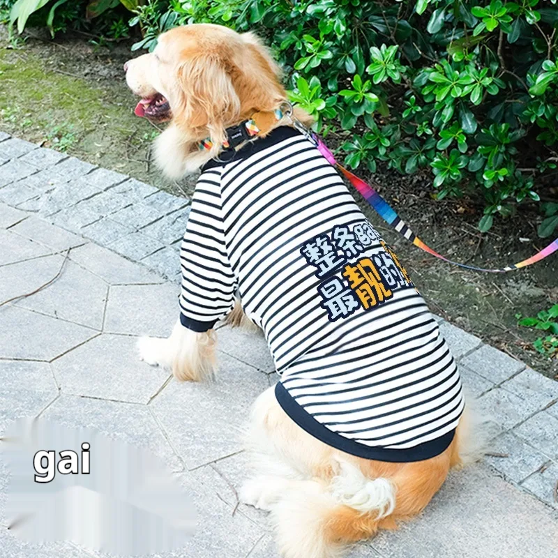 Dog Clothes Autumn And Winter Samoyed Medium Large Dog Lucky - Shop at LoveMi