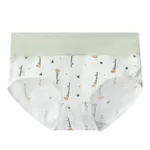 1638 Lemon-L