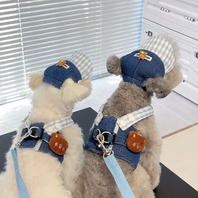 Spring And Autumn Pet's Chest back Hand Holding Rope Dog Cat Clothes Chest And Back Rope - Shop at LoveMi