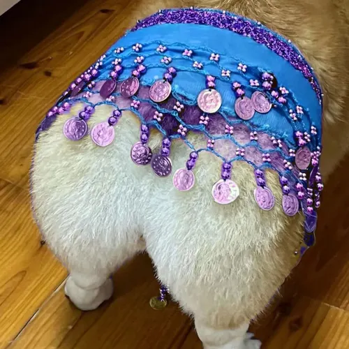 Belly Dance Fart Chain Sequined Waist Chain Enthusiastic Dog Fart Hip Scarf Lake Blue - Shop at LoveMi