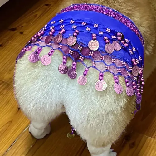 Belly Dance Fart Chain Sequined Waist Chain Enthusiastic Dog Fart Hip Scarf Sapphire Blue - Shop at LoveMi