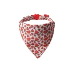 Watermelon Triangular Binder