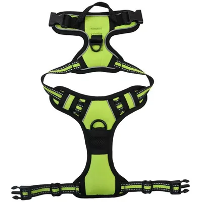 Pet Hand Holding Rope Chest And Back Nylon Dog Rope Green - Shop at LoveMi