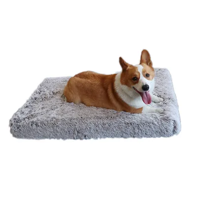 Plush Square Pet Bed Wave Memory Foam Deep Sleep Dog Sofa Bed Scraping White Coffee - Shop at LoveMi