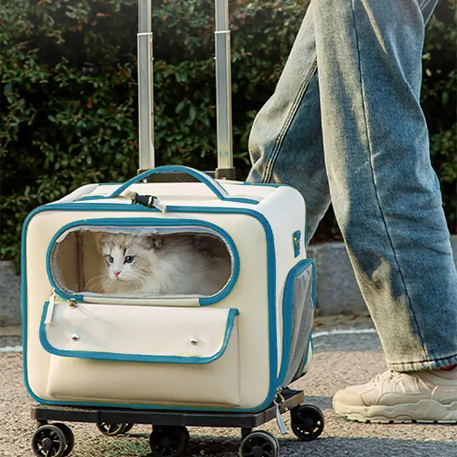 Cat Bag Going Out Pet Trolley Bag Good looking Anti stress Cat Backpack Peacock Blue Radio - Shop at LoveMi