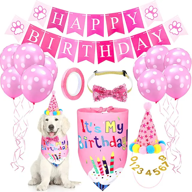 Pet Birthday Scarf And Hat Banner Hanging Flag Number Suit New Pink Balloon Set - Shop at LoveMi