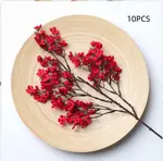 Red 10Pcs
