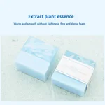 100G Sea Salt Lemon