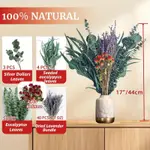 Lavender I Without Box