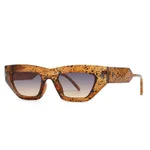 C2 Orange Frame Gradient Color