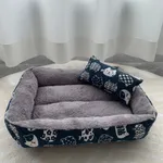 Blue Kitten With Pillow
