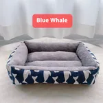 Blue Whale