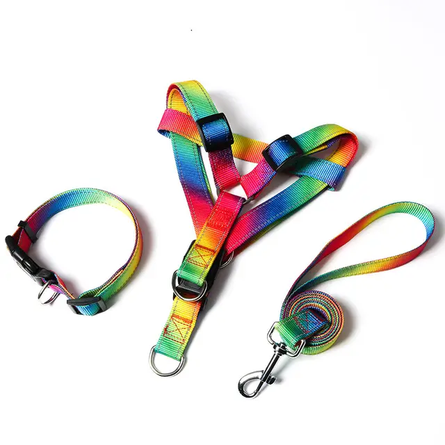 Creative Color Dog Leash Pet Vest Colorful Three Piece Set - Shop at LoveMi
