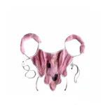 Pink Pony