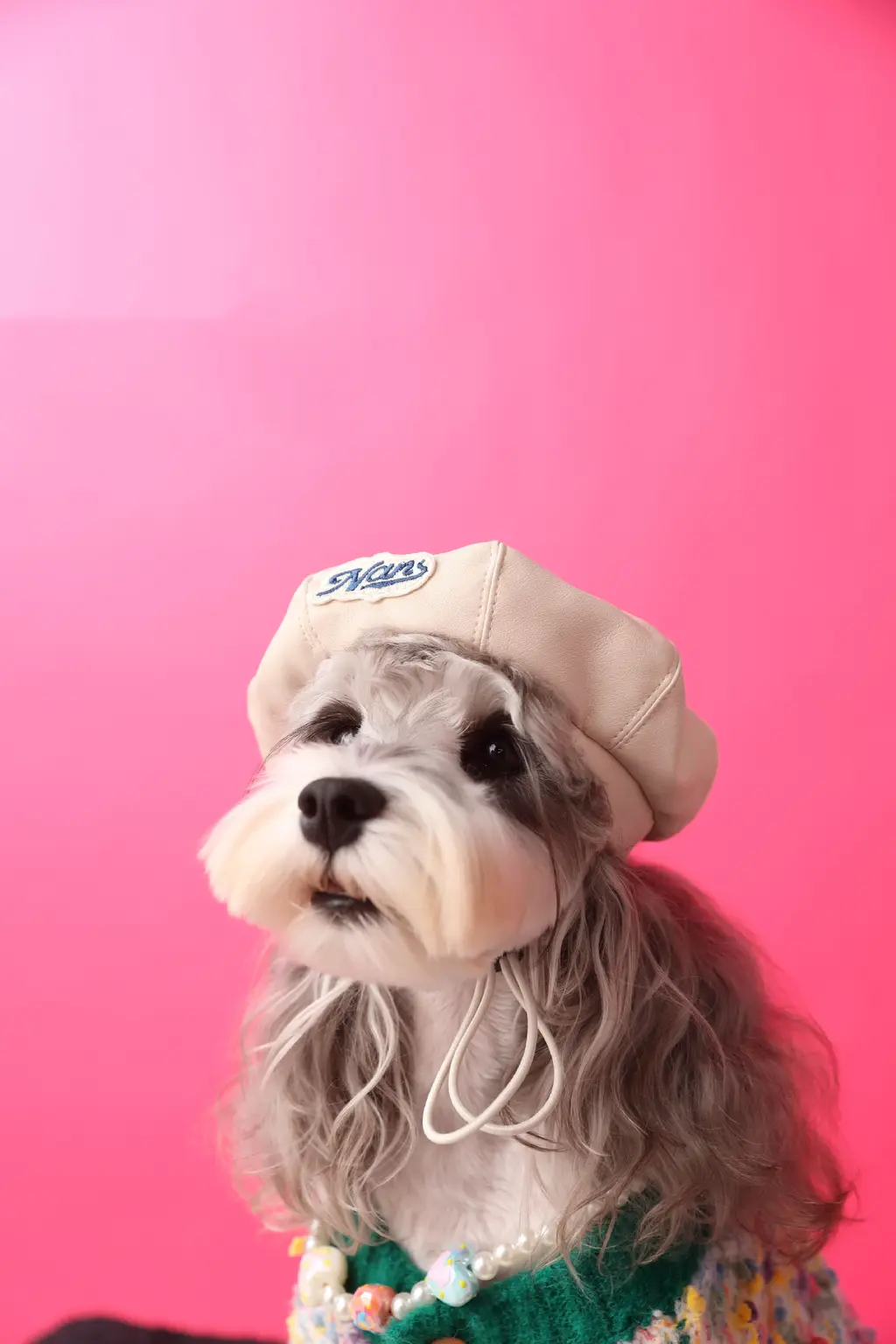 Dog Accessories Photo Concave Shape Pumpkin Hat - Beige