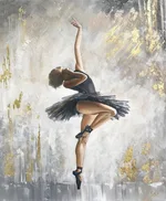 Ballet Dancer Oil Painting Poster Wall Art Bedroom Living Room Modern Decorative Picture - A Style