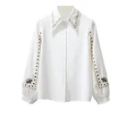 Chiffon Shirt