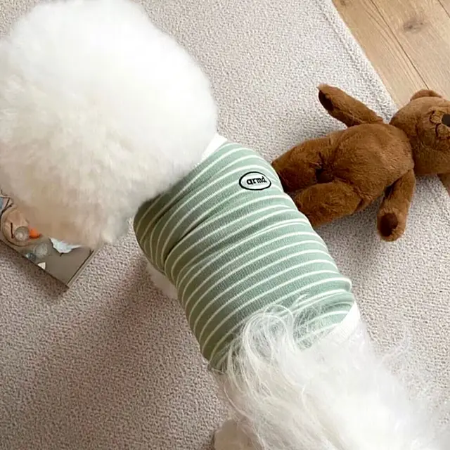 Simple Striped Printed Small Pet Dog Clothes Green - Shop at LoveMi