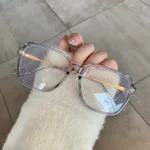 Transparent Gray