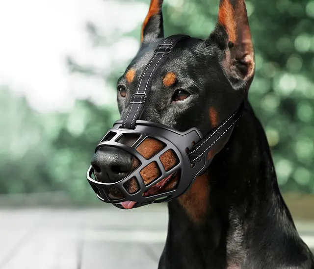 Upgraded Dog Mouth Cover Anti bite Small, Medium And Large Dogs Nylon Black - Shop at LoveMi