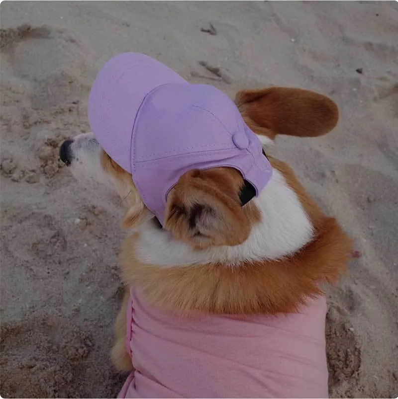 New Adjustable Sun-proof Exposed Ears Pet Hat - Purple
