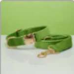 Green Set