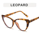Leopard Print Frame