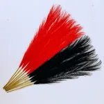 5 Red 5 Black