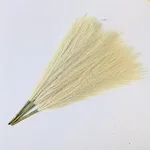 Beige And Yellow