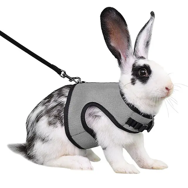 Guinea Pig Rabbit Rope Minipet Traction Vest Chest Back Gray - Shop at LoveMi