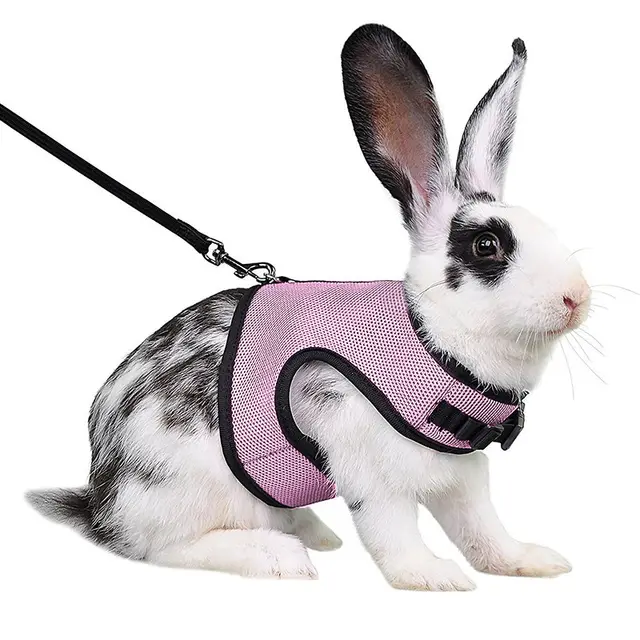 Guinea Pig Rabbit Rope Minipet Traction Vest Chest Back Pink - Shop at LoveMi