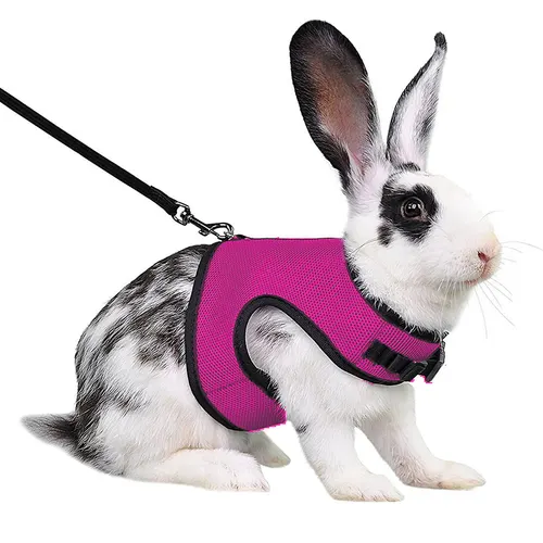Guinea Pig Rabbit Rope Minipet Traction Vest Chest Back Rose Red - Shop at LoveMi