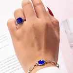 Sj024 Blue