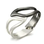 Silver Sweep Black Gun