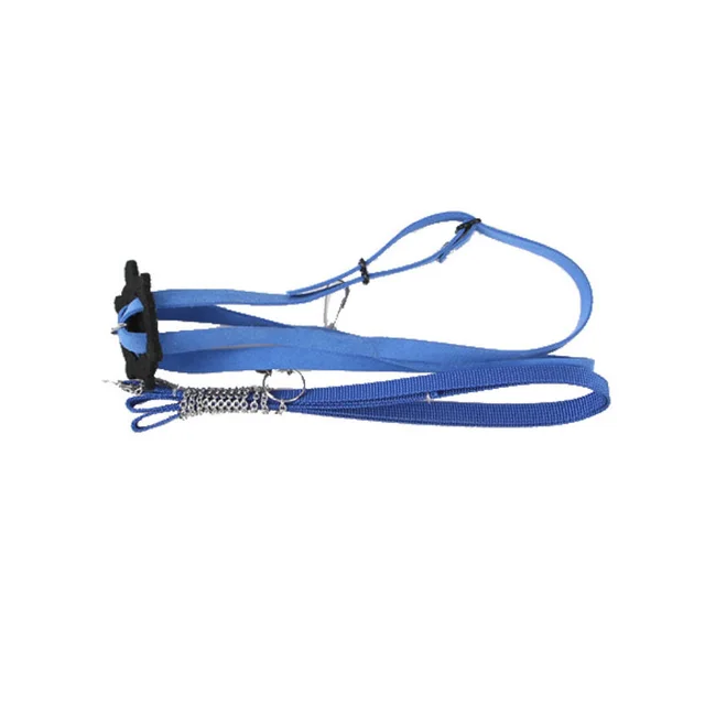 Turtle Pet Traction Strap Adjustable Vest Out Blue - Shop at LoveMi
