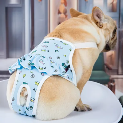 Bull Anti harassment Estrous Underwear Washable Female Dog Menstrual Safety Pants Blue - Shop at LoveMi
