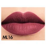 Ml16
