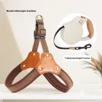 Brown 5 M Retractable Leash